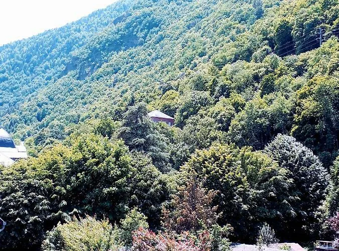 Appartement Duplex *